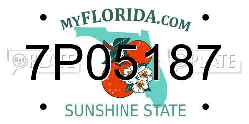 7P05187 Florida License Plate