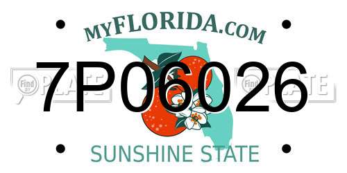 7P06026 Florida License Plate