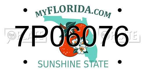 7P06076 Florida License Plate