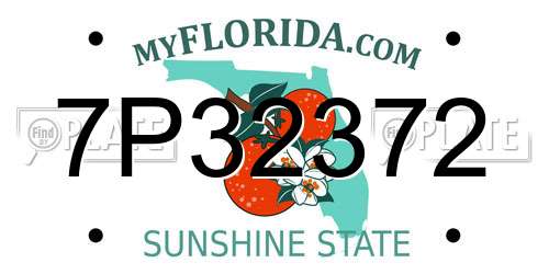 7P32372 Florida License Plate