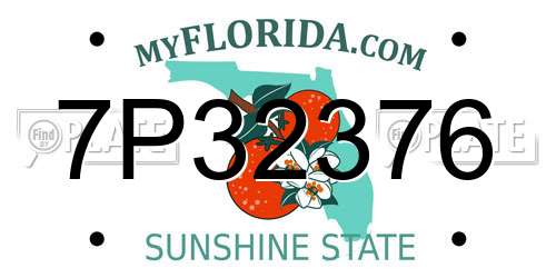 7P32376 Florida License Plate