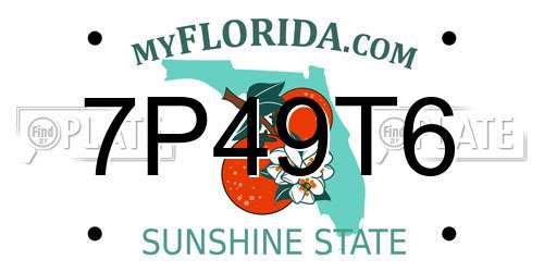 7P49T6 Florida License Plate