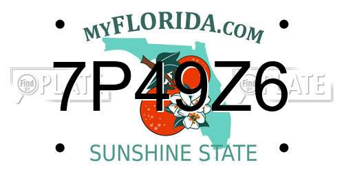 7P49Z6 Florida License Plate