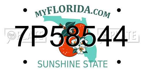 7P58544 Florida License Plate