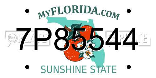 7P85544 Florida License Plate