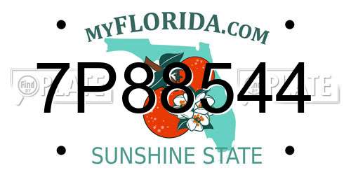 7P88544 Florida License Plate