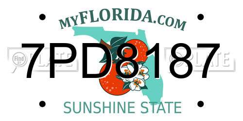 7PD8187 Florida License Plate