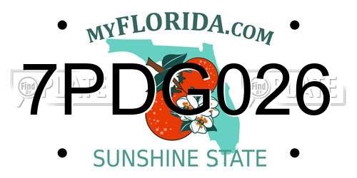 7PDG026 Florida License Plate