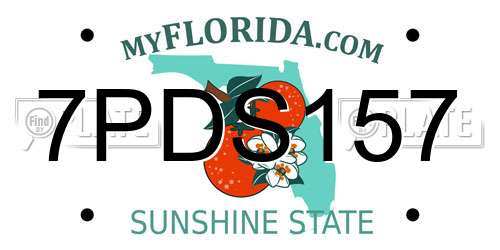 7PDS157 Florida License Plate