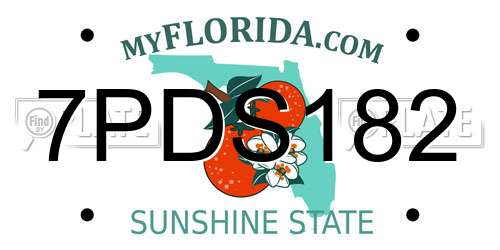 7PDS182 Florida License Plate