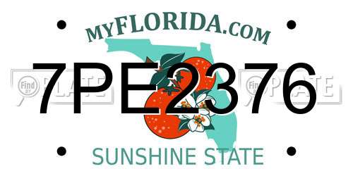 7PE2376 Florida License Plate