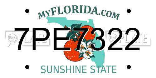 7PE7322 Florida License Plate
