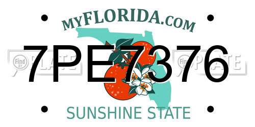 7PE7376 Florida License Plate
