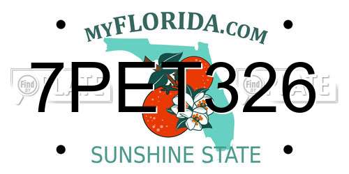 7PET326 Florida License Plate