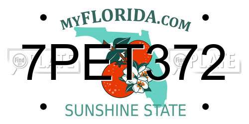 7PET372 Florida License Plate