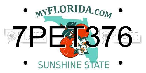 7PET376 Florida License Plate