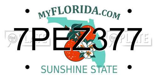 7PEZ377 Florida License Plate