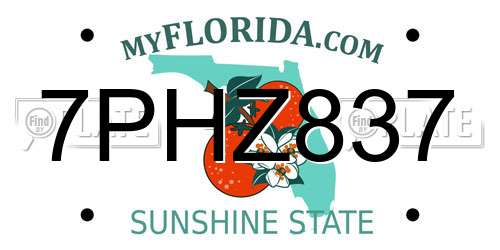 7PHZ837 Florida License Plate