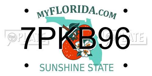 7PKB96 Florida License Plate