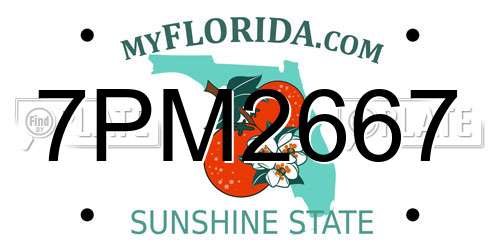 7PM2667 Florida License Plate