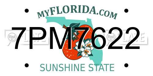 7PM7622 Florida License Plate
