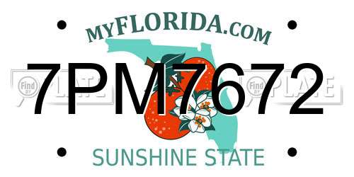 7PM7672 Florida License Plate