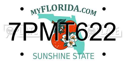 7PMT622 Florida License Plate