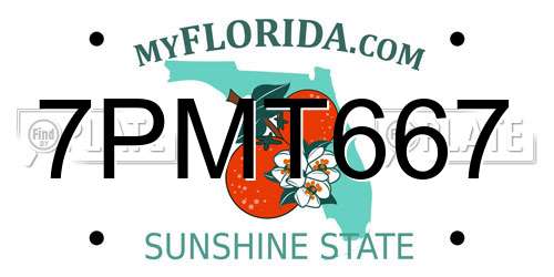 7PMT667 Florida License Plate