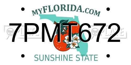 7PMT672 Florida License Plate