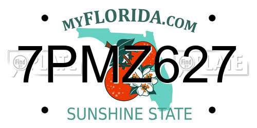 7PMZ627 Florida License Plate