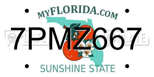 7PMZ667 Florida License Plate