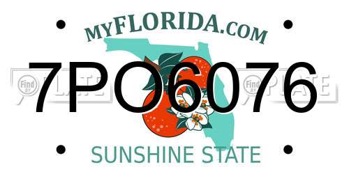 7PO6076 Florida License Plate