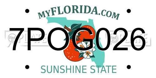 7POG026 Florida License Plate