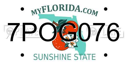 7POG076 Florida License Plate