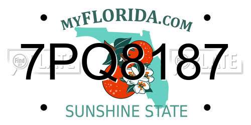 7PQ8187 Florida License Plate