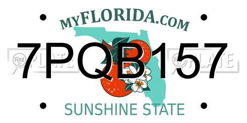 7PQB157 Florida License Plate