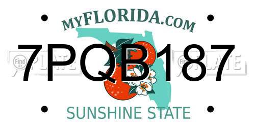 7PQB187 Florida License Plate