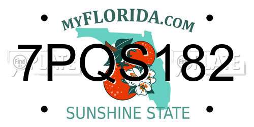 7PQS182 Florida License Plate