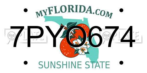 7PYO674 Florida License Plate