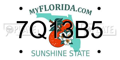 7Q13B5 Florida License Plate