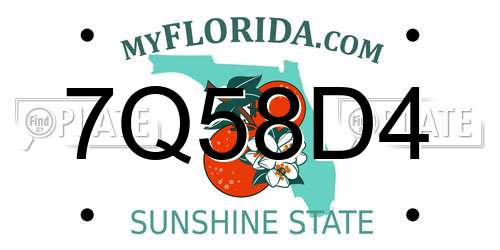 7Q58D4 Florida License Plate