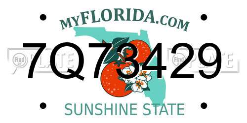 7Q73429 Florida License Plate