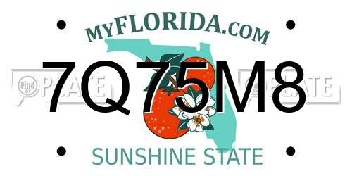 7Q75M8 Florida License Plate