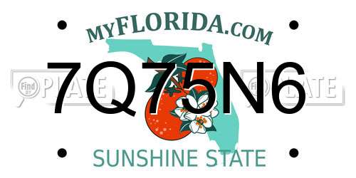 7Q75N6 Florida License Plate