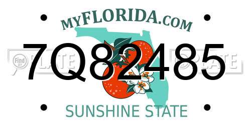 7Q82485 Florida License Plate