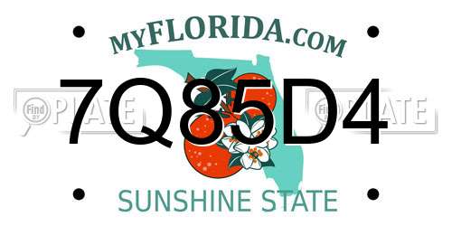 7Q85D4 Florida License Plate