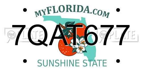 7QAT677 Florida License Plate
