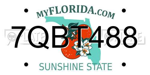 7QBT488 Florida License Plate