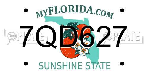 7QD627 Florida License Plate