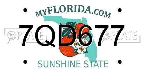 7QD677 Florida License Plate